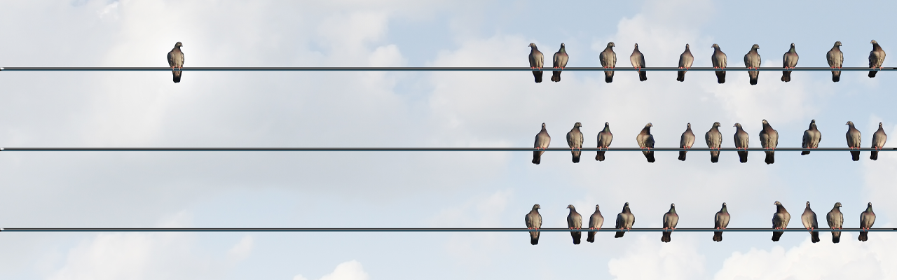 Dealing With Feedback from an “Outlier”